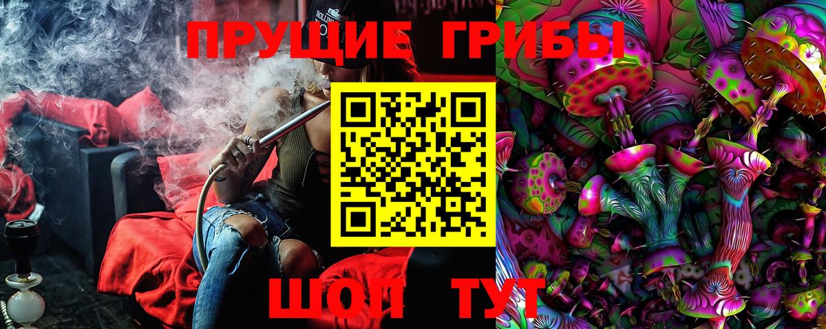 Псилоцибиновые грибы GOLDEN TEACHER Мыски
